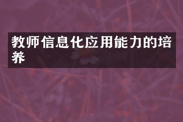 教师信息化应用能力的培养