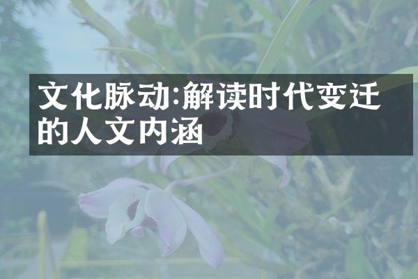 文化脉动:解读时代变迁中的人文内涵