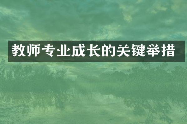 教师专业成长的关键举措