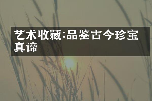 艺术收藏:品鉴古今珍宝的真谛