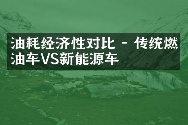 油耗经济性对比 - 传统燃油车VS新能源车