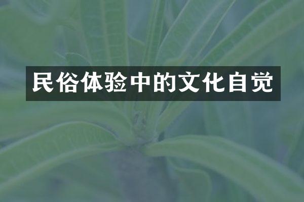 民俗体验中的文化自觉