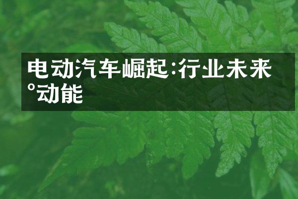 电动汽车崛起:行业未来新动能