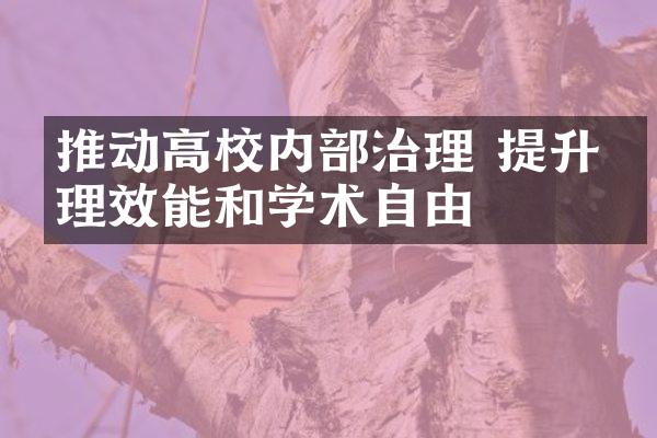 推动高校内治理 提升管理效能和学术自由