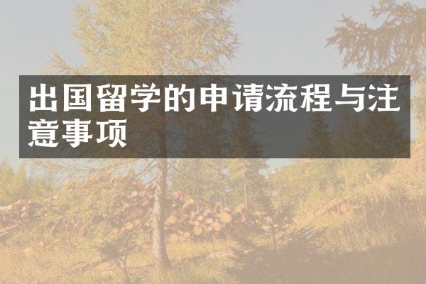 出国留学的申请流程与注意事项