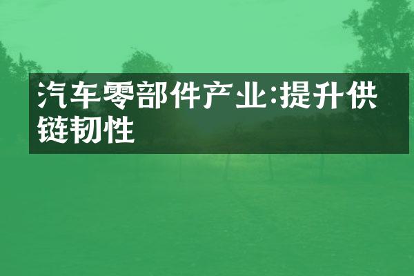 汽车零件产业:提升供给链韧性