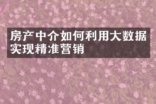 房产中介如何利用数据实现精准营销