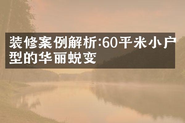 装修案例解析:60平米小户型的华丽蜕变