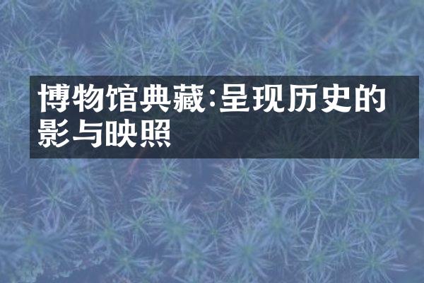 博物馆典藏:呈现历史的缩影与映照