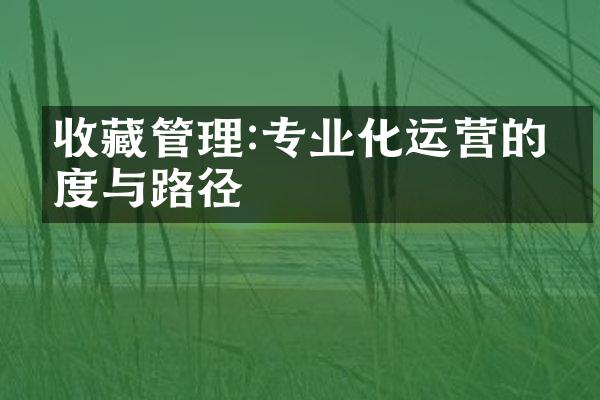 收藏管理:专业化运营的制度与路径