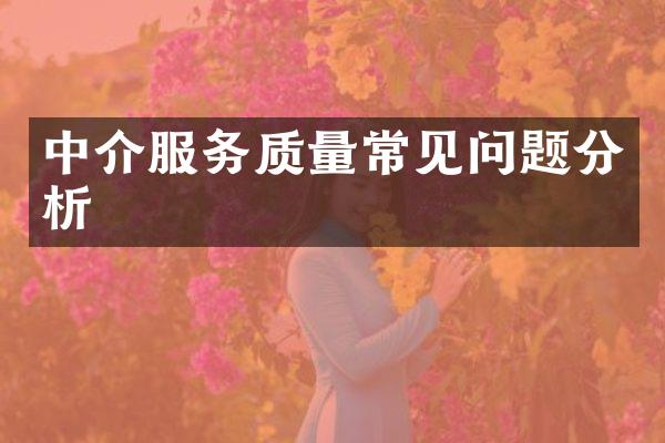 中介服务质量常见问题分析