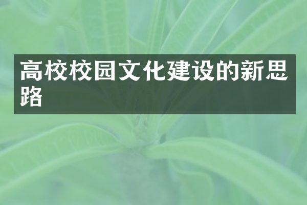 高校校园文化建设的新思路