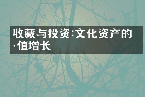 收藏与投资:文化资产的价值增长