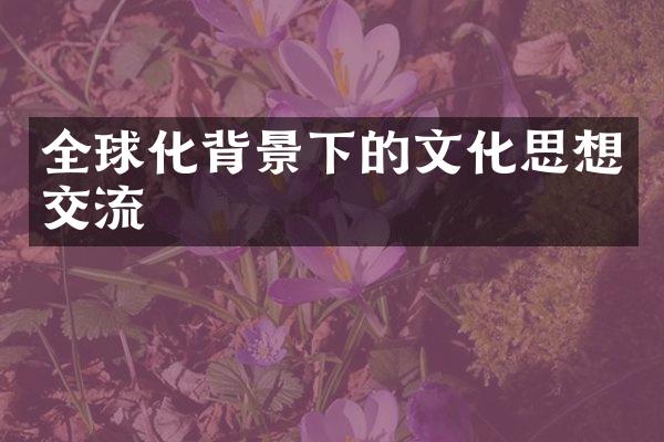 全球化背景下的文化思想交流