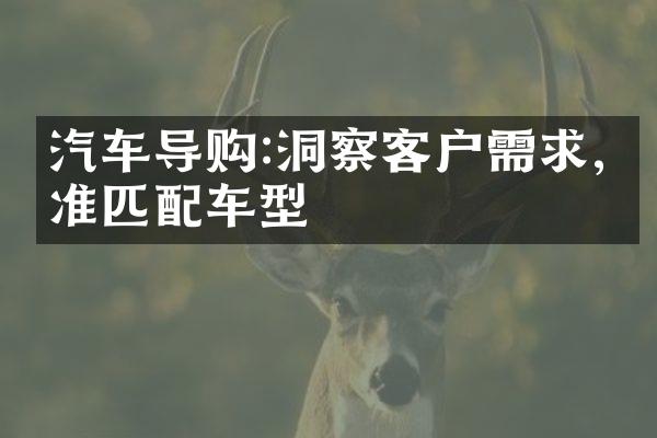 汽车导购:洞察客户需求,精准匹配车型