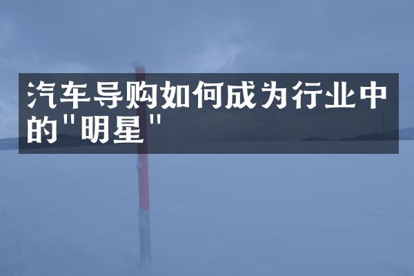 汽车导购如何成为行业中的