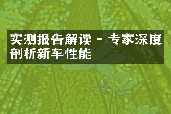 实测报告解读 - 专家深度剖析新车性能