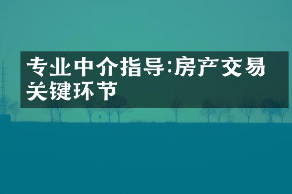 专业中介指导:房产交易的关键环节