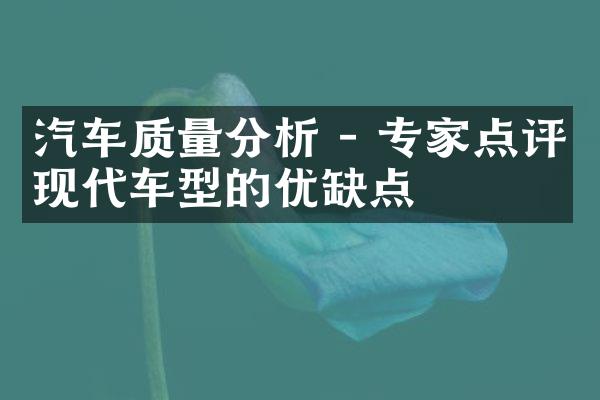 汽车质量分析 - 专家点评现代车型的优缺点