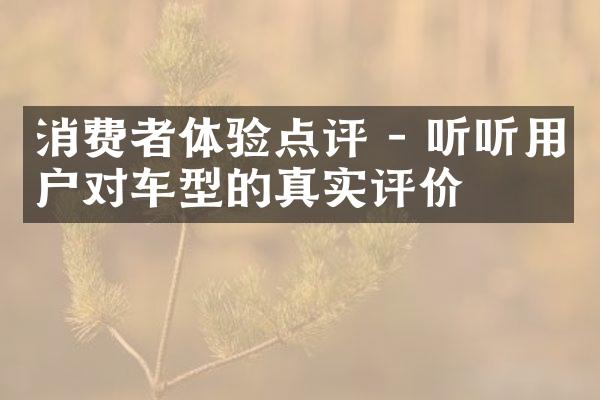 消费者体验点评 - 听听用户对车型的真实评价