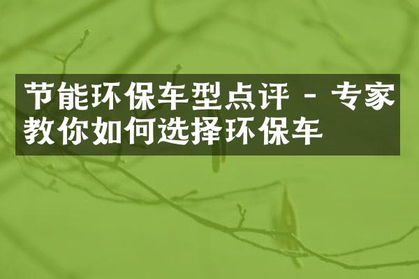 节能环保车型点评 - 专家教你如何选择环保车