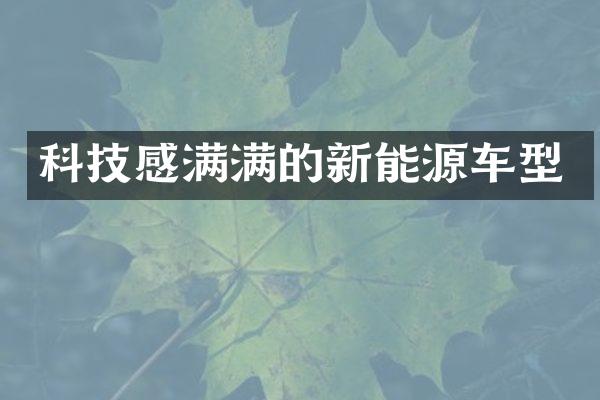 科技感满满的新能源车型