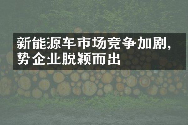 新能源车市场竞争加剧,优势企业脱颖而出