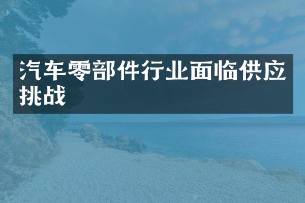 汽车零部件行业面临供应挑战