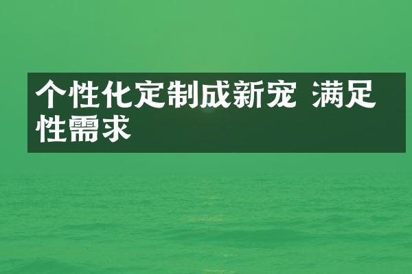 个性化定制成新宠 满足个性需求