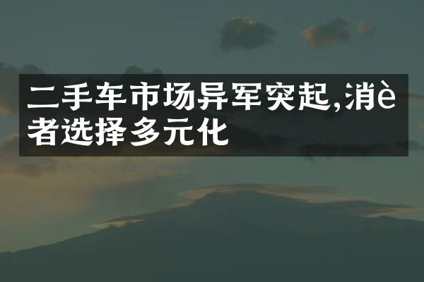 二手车市场异军突起,消费者选择多元化