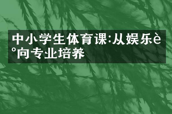 中小学生体育课:从娱乐走向专业培养