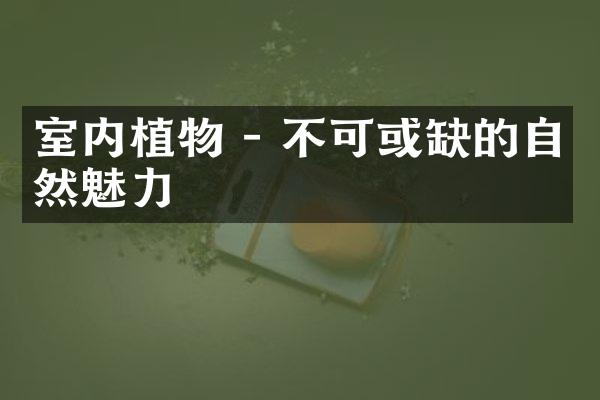 室内植物 - 不可或缺的自然魅力