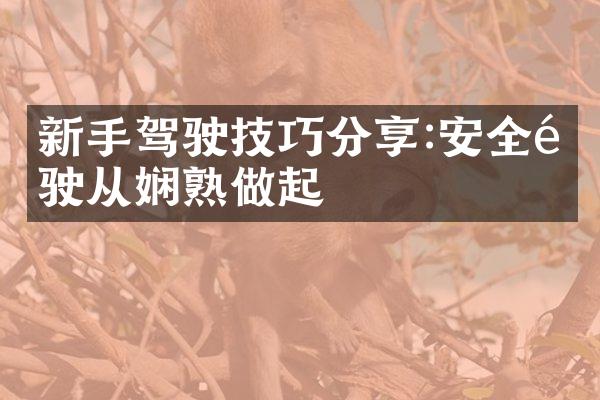 新手驾驶技巧分享:安全驾驶从娴熟做起