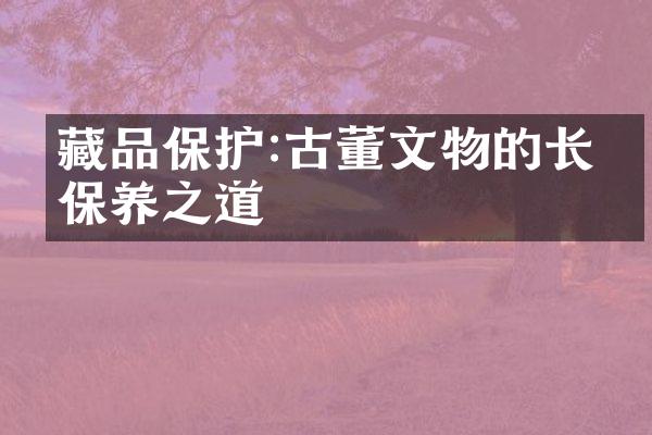 藏品保护:古董文物的长期保养之道