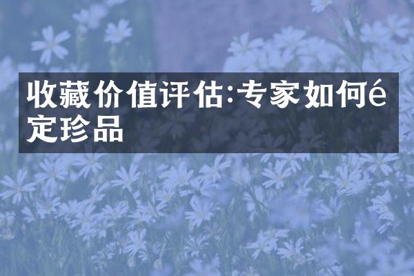 收藏价值评估:专家如何鉴定珍品