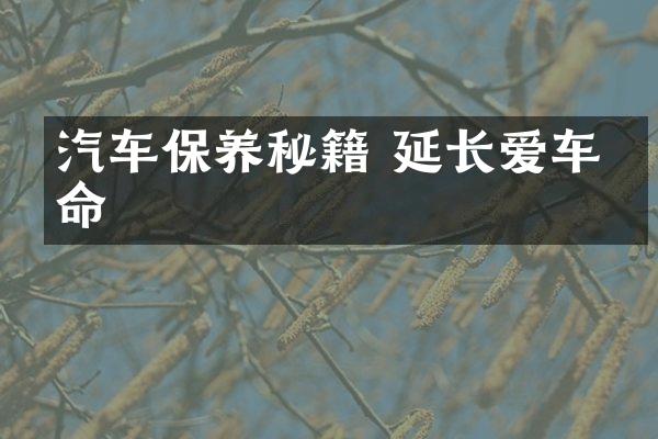 汽车保养秘籍 延长爱车寿命