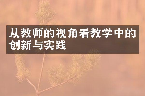 从教师的视角看教学中的创新与实践