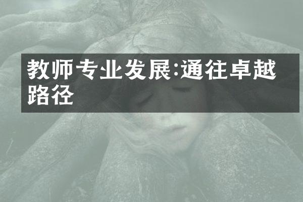 教师专业发展:通往卓越的路径