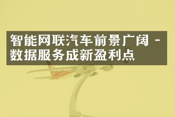 智能网联汽车前景广阔 - 数据服务成新盈利点