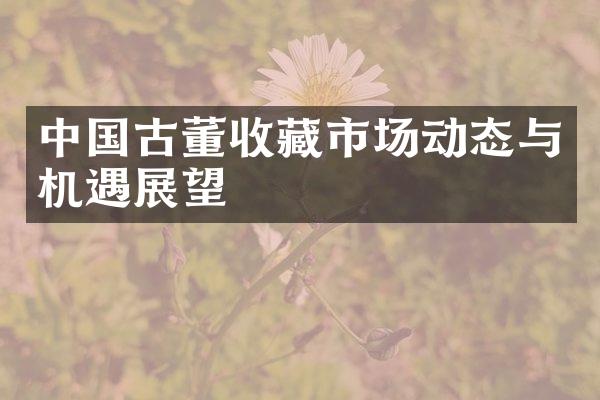 古董收藏市场动态与机遇展望