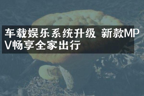 车载娱乐系统升级 新款MPV畅享全家出行