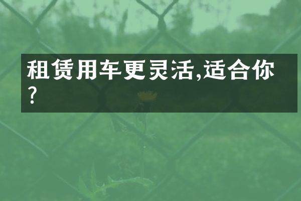 租赁用车更灵活,适合你吗?