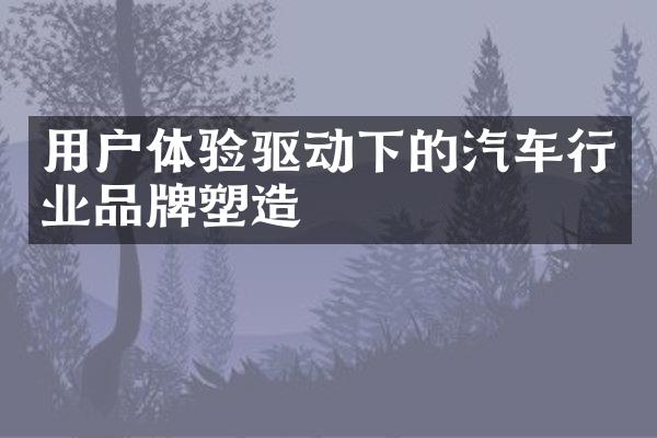 用户体验驱动下的汽车行业品牌塑造