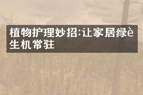 植物护理妙招:让家居绿色生机常驻