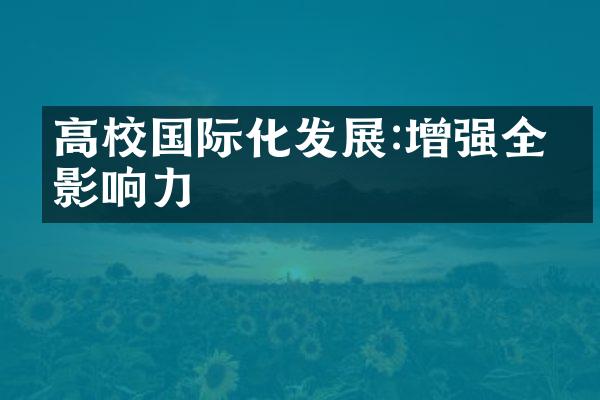 高校国际化发展:增强全球影响力