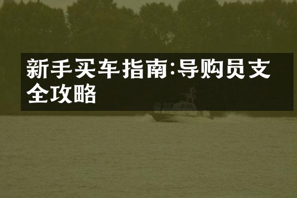 新手买车指南:导购员支招全攻略