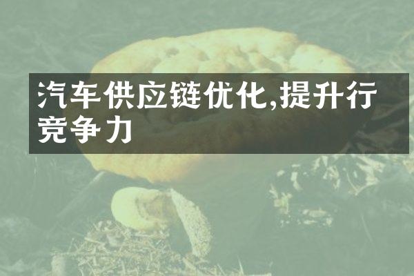 汽车供应链优化,提升行业竞争力