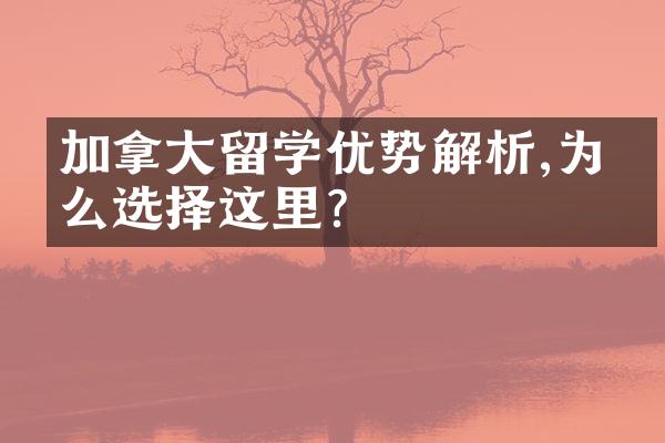 加拿留学优势解析,为什么选择这里?