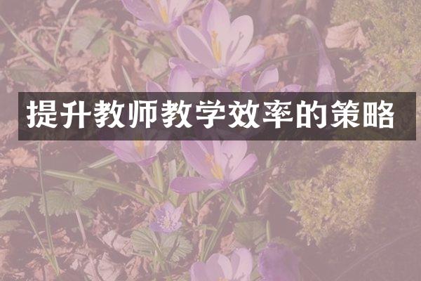 提升教师教学效率的策略