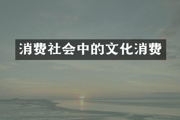 消费社会中的文化消费